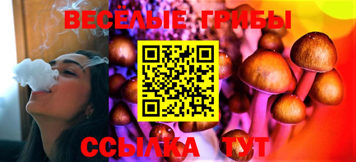 Галлюциногенные грибы Magic Shrooms  Псилоцибиновые грибы GOLDEN TEACHER  Вход с VPN  Белая Калитва 